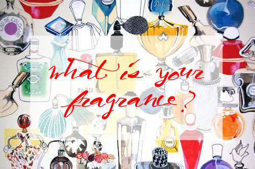 Fragrance-Feature